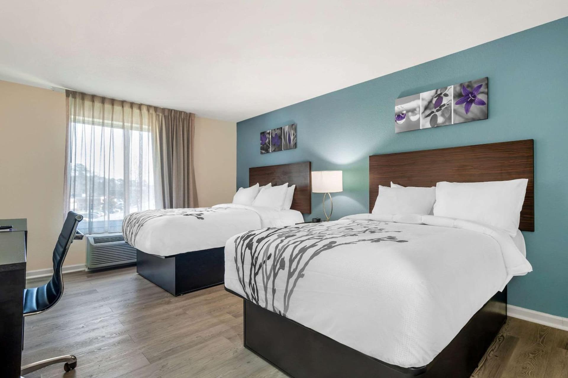 Sleep Inn & Suites Newport News City Center Area gallery photo in Newport News, VA — image 60