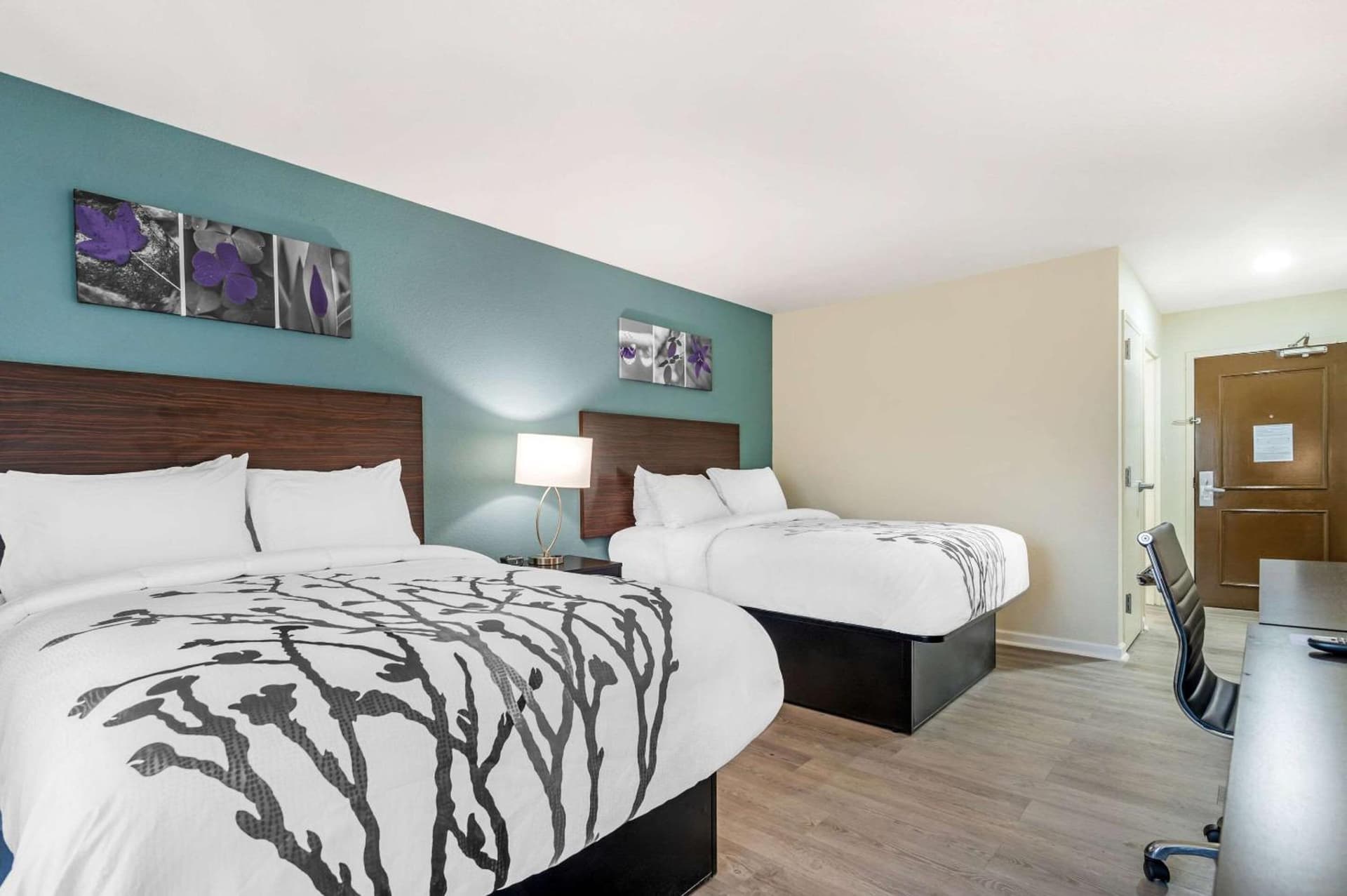 Sleep Inn & Suites Newport News City Center Area gallery photo in Newport News, VA — image 67