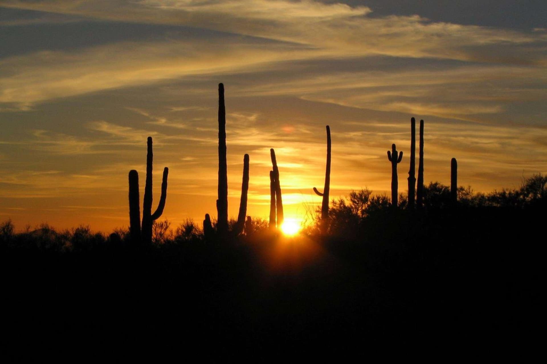 Westward Look Wyndham Grand Resort & Spa gallery photo in Tucson, AZ — image 100