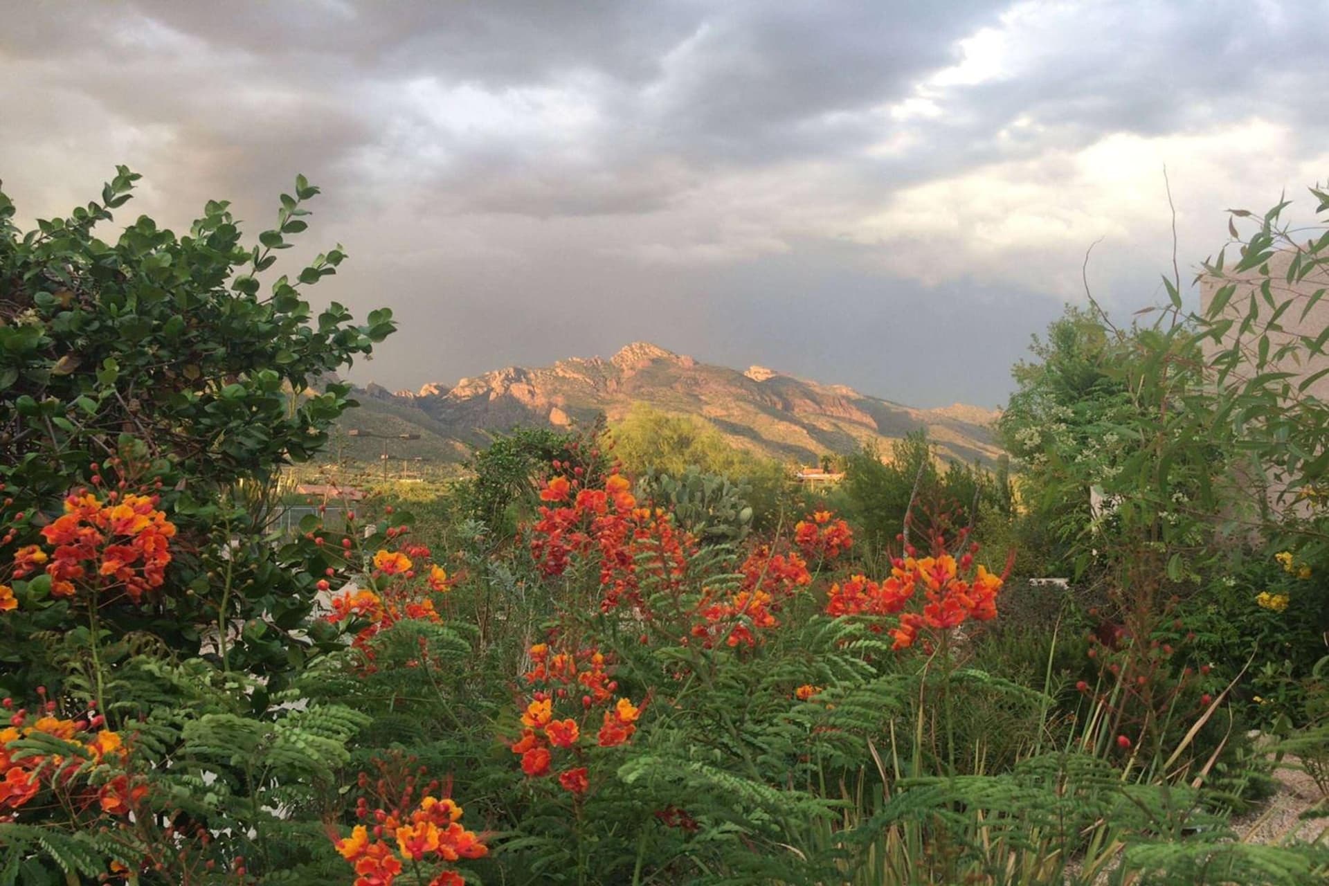 Westward Look Wyndham Grand Resort & Spa gallery photo in Tucson, AZ — image 6
