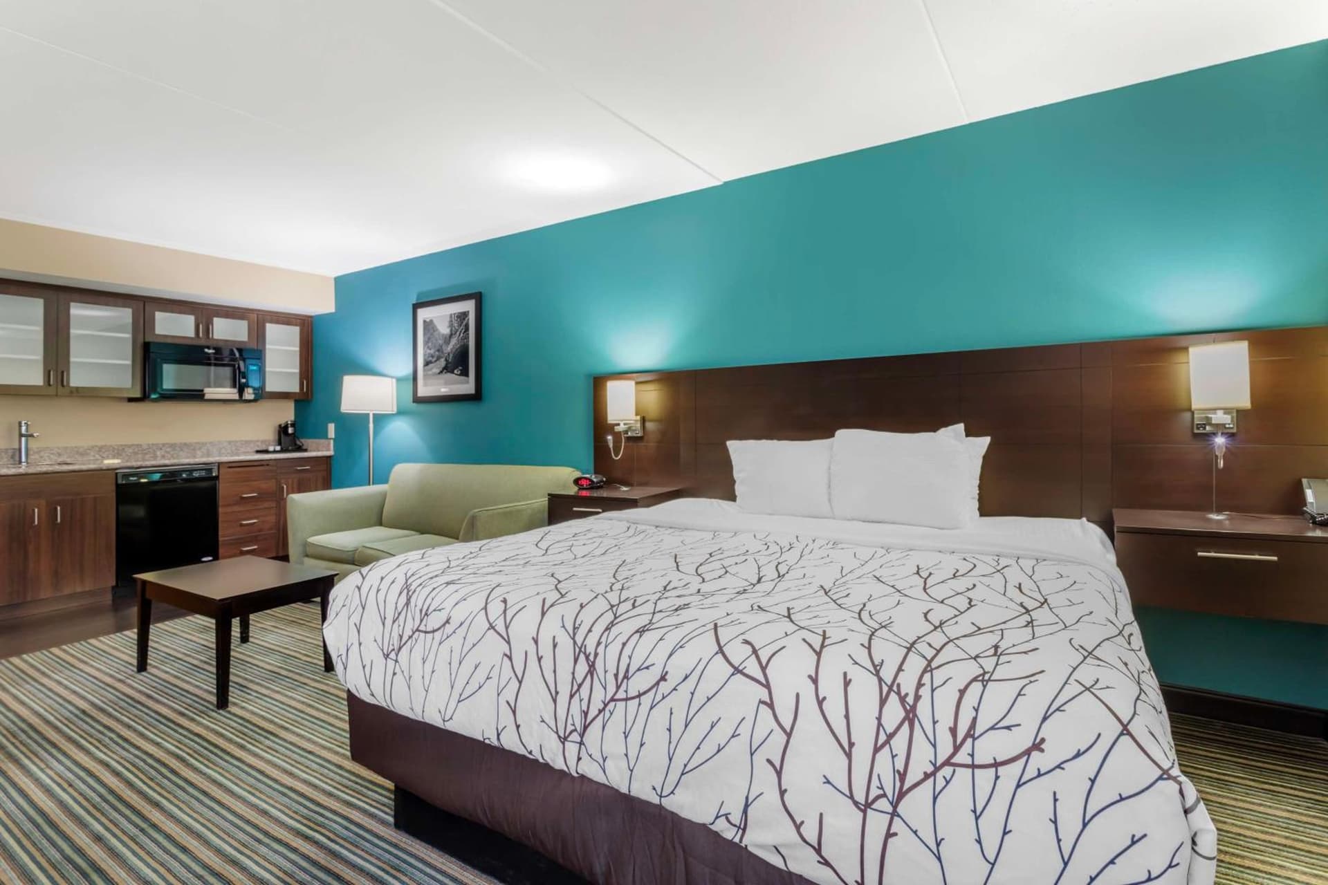 Best Western Plus Knoxville Cedar Bluff gallery photo in Knoxville, TN — image 30