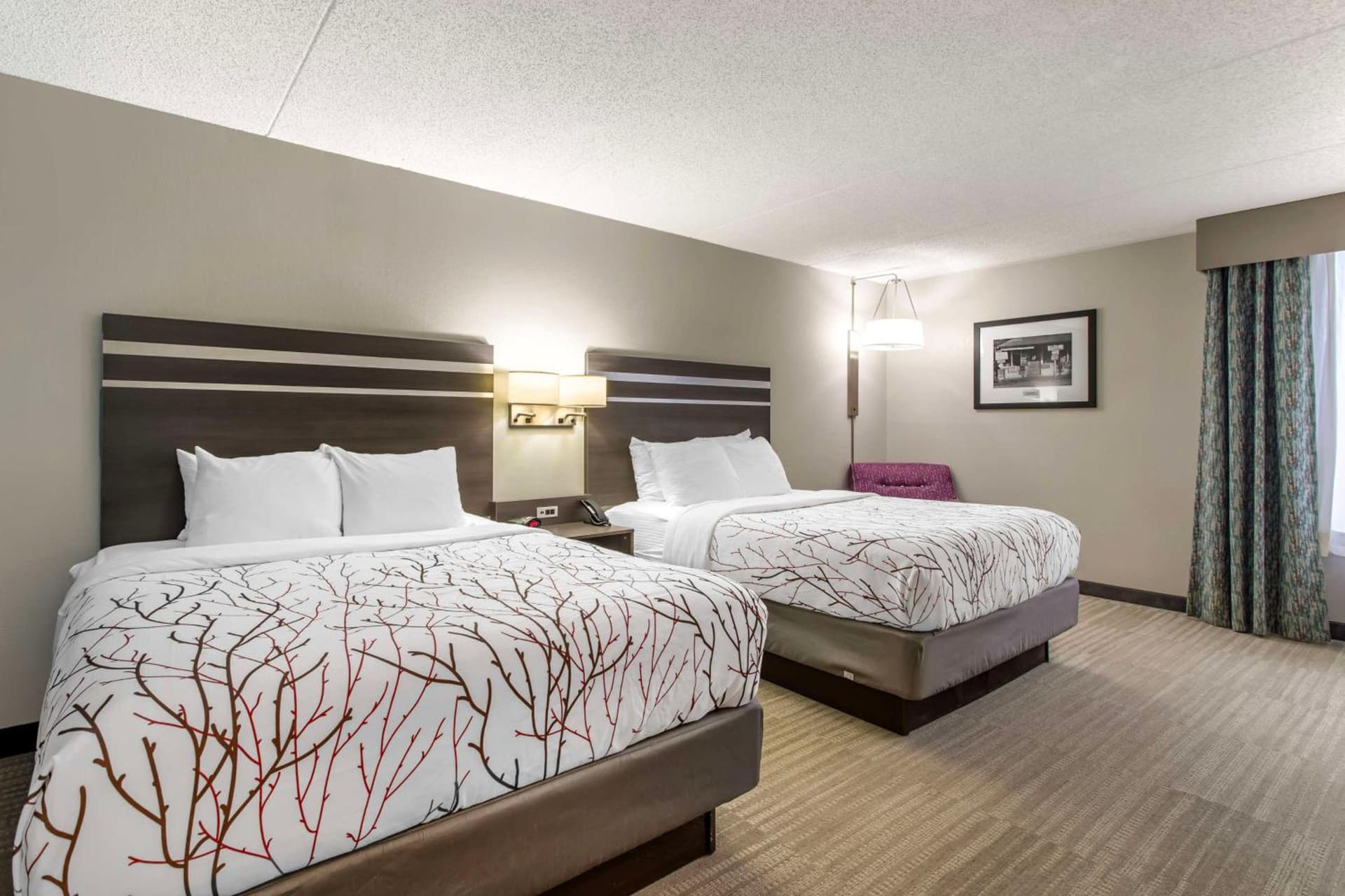 Best Western Plus Knoxville Cedar Bluff gallery photo in Knoxville, TN — image 21