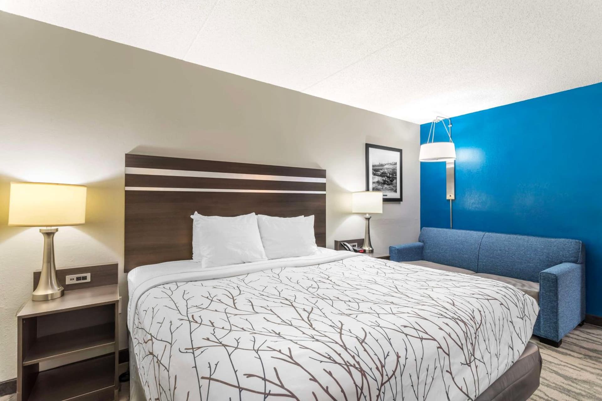 Best Western Plus Knoxville Cedar Bluff gallery photo in Knoxville, TN — image 11