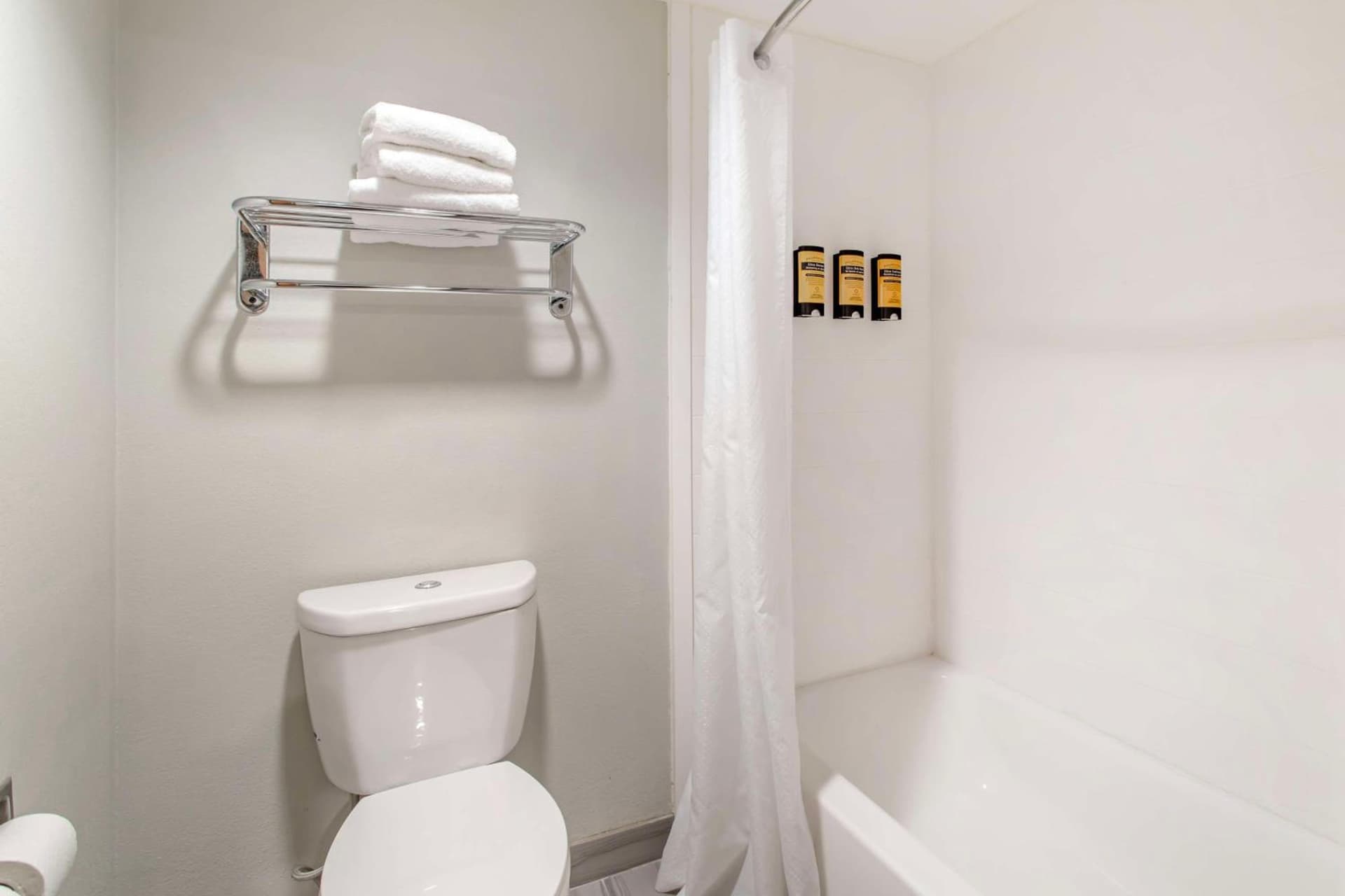 Best Western Plus Knoxville Cedar Bluff gallery photo in Knoxville, TN — image 32