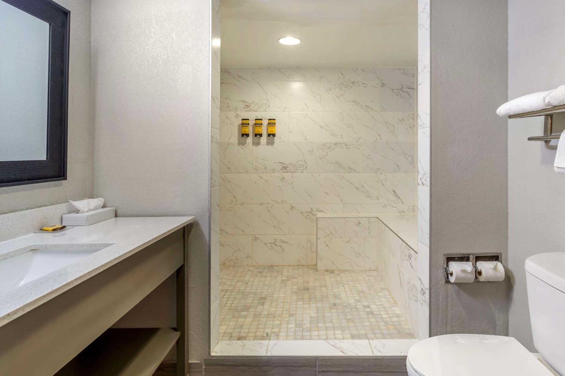 Best Western Plus Knoxville Cedar Bluff gallery photo in Knoxville, TN — image 37