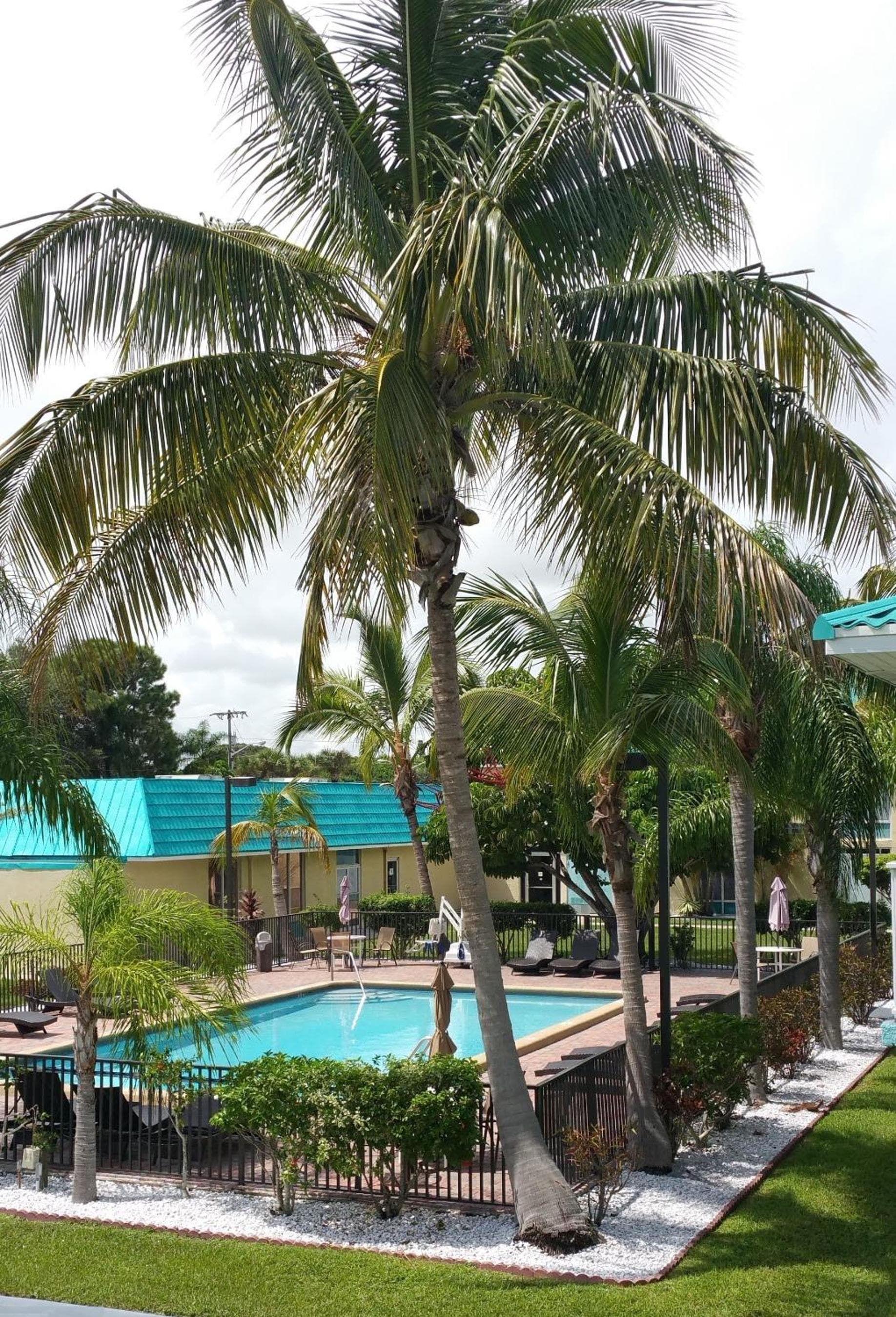 Days Inn & Suites by Wyndham Fort Pierce Midtown gallery photo in Fort Pierce, FL — image 29