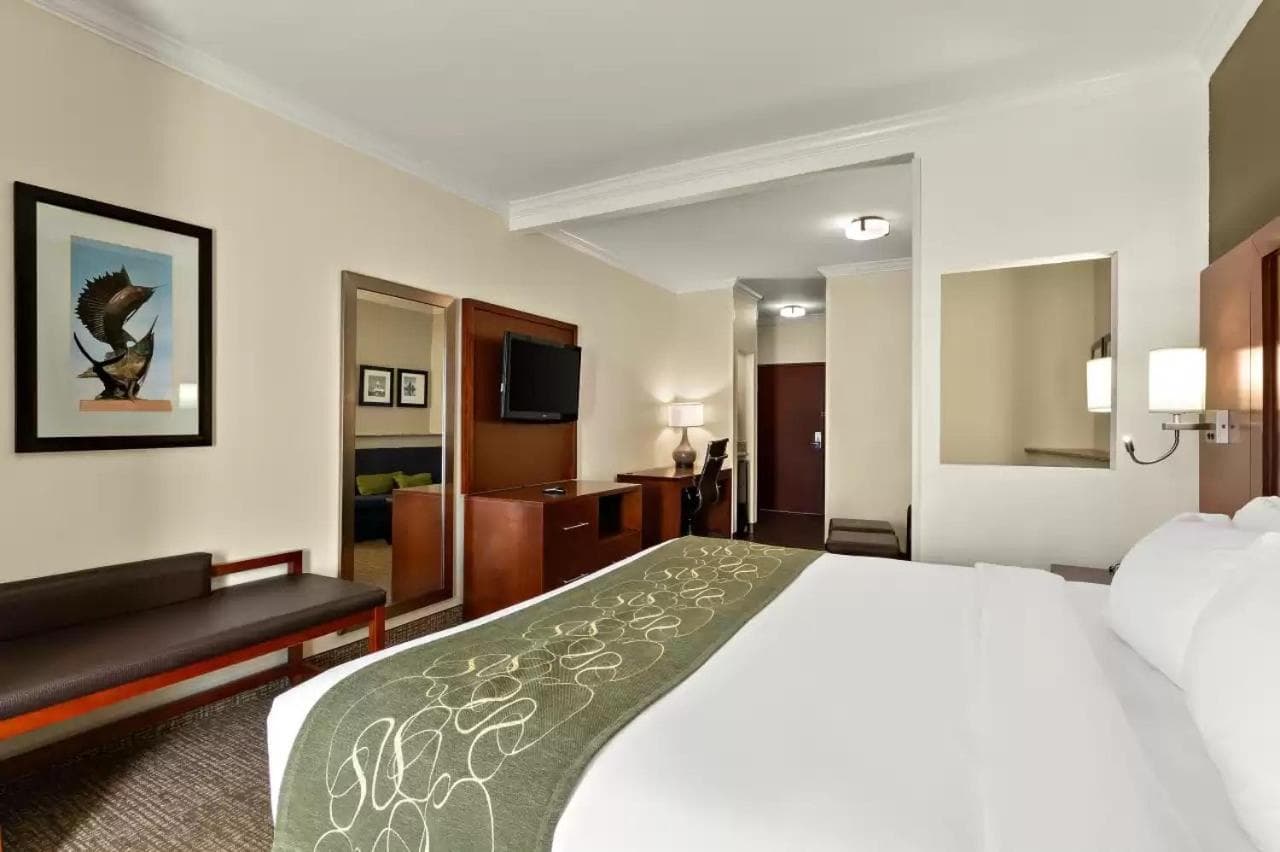 Comfort Suites Corpus Christi Central gallery photo in Corpus Christi, TX — image 20