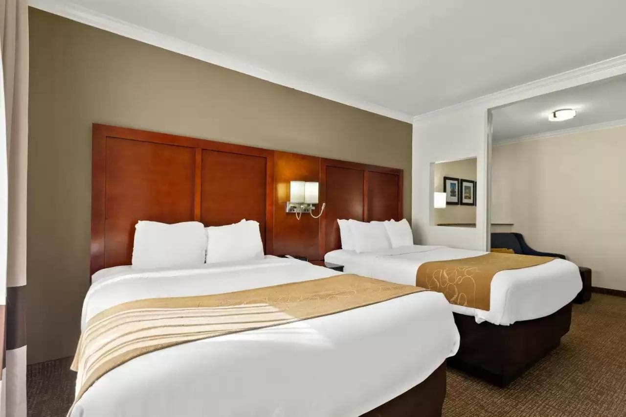 Comfort Suites Corpus Christi Central gallery photo in Corpus Christi, TX — image 28