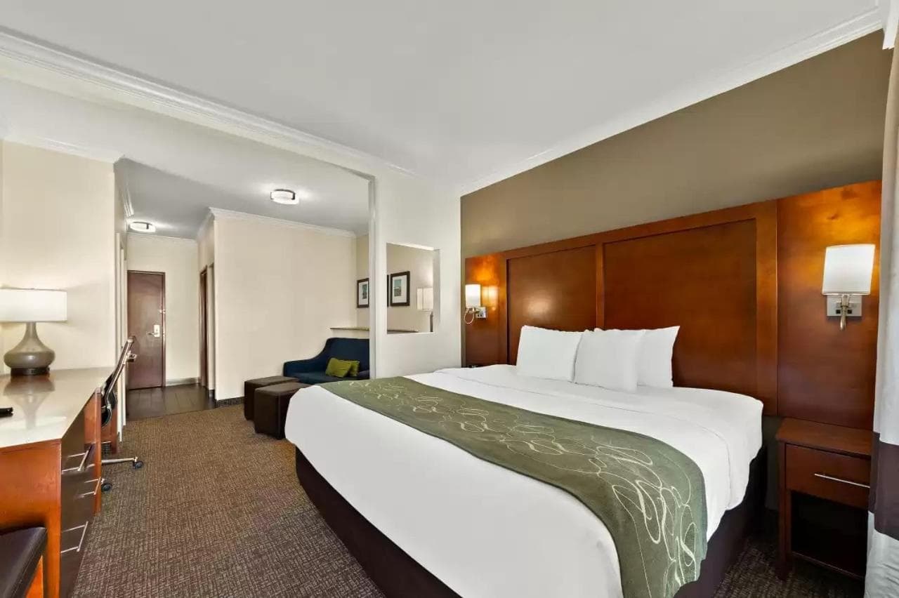 Comfort Suites Corpus Christi Central gallery photo in Corpus Christi, TX — image 8