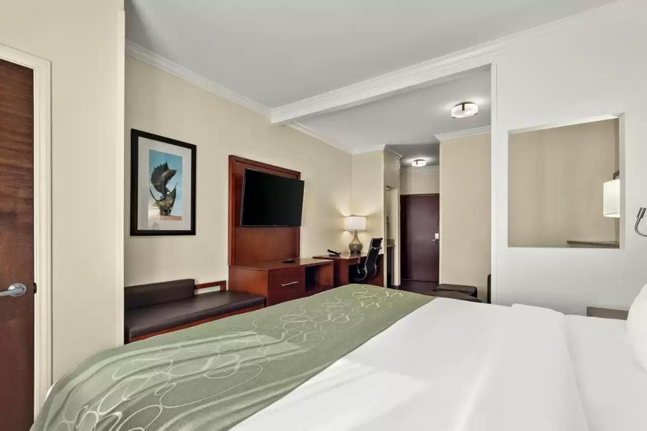 Comfort Suites Corpus Christi Central gallery photo in Corpus Christi, TX — image 19