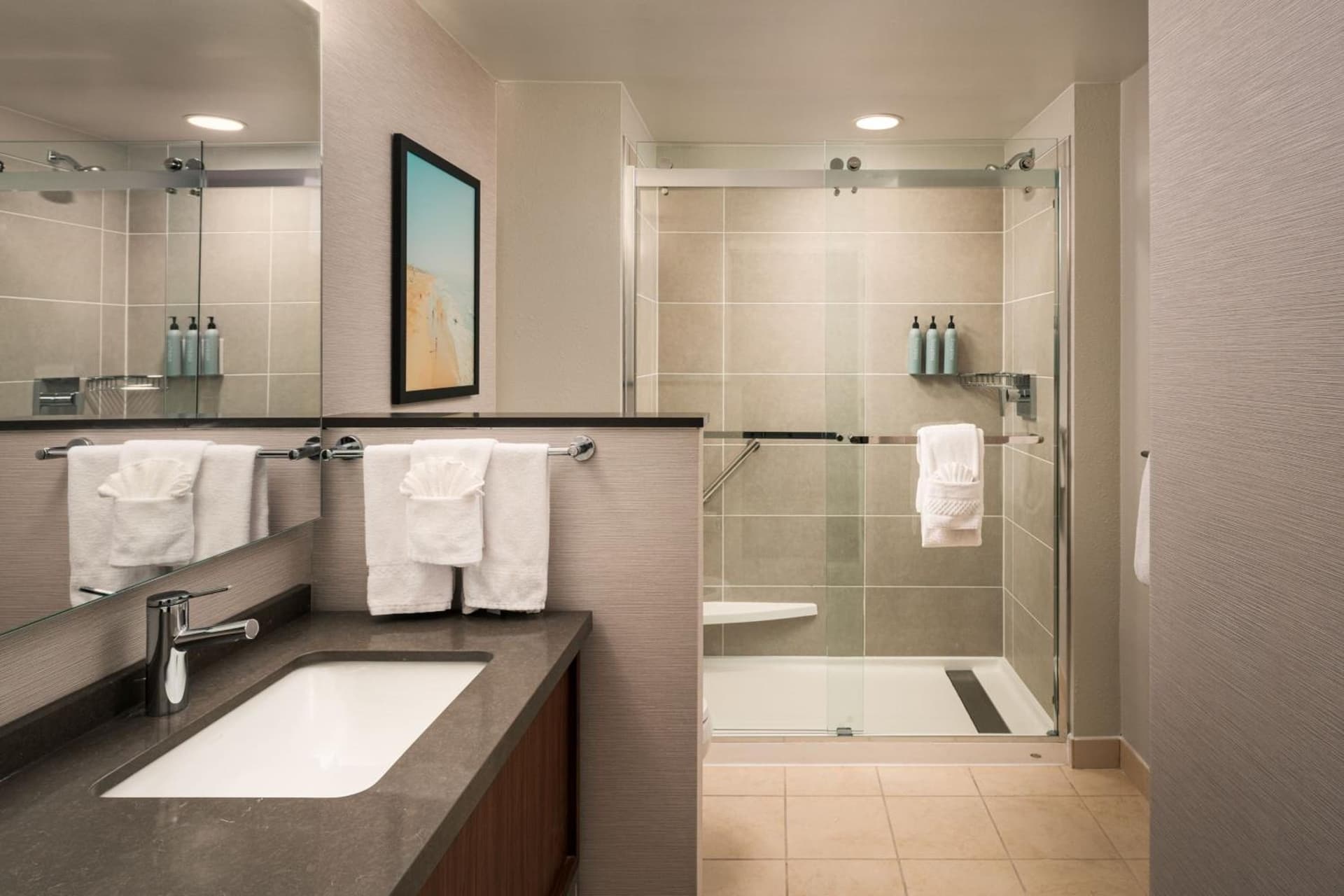 Courtyard by Marriott St. Petersburg Downtown gallery photo in St Petersburg, FL — image 20