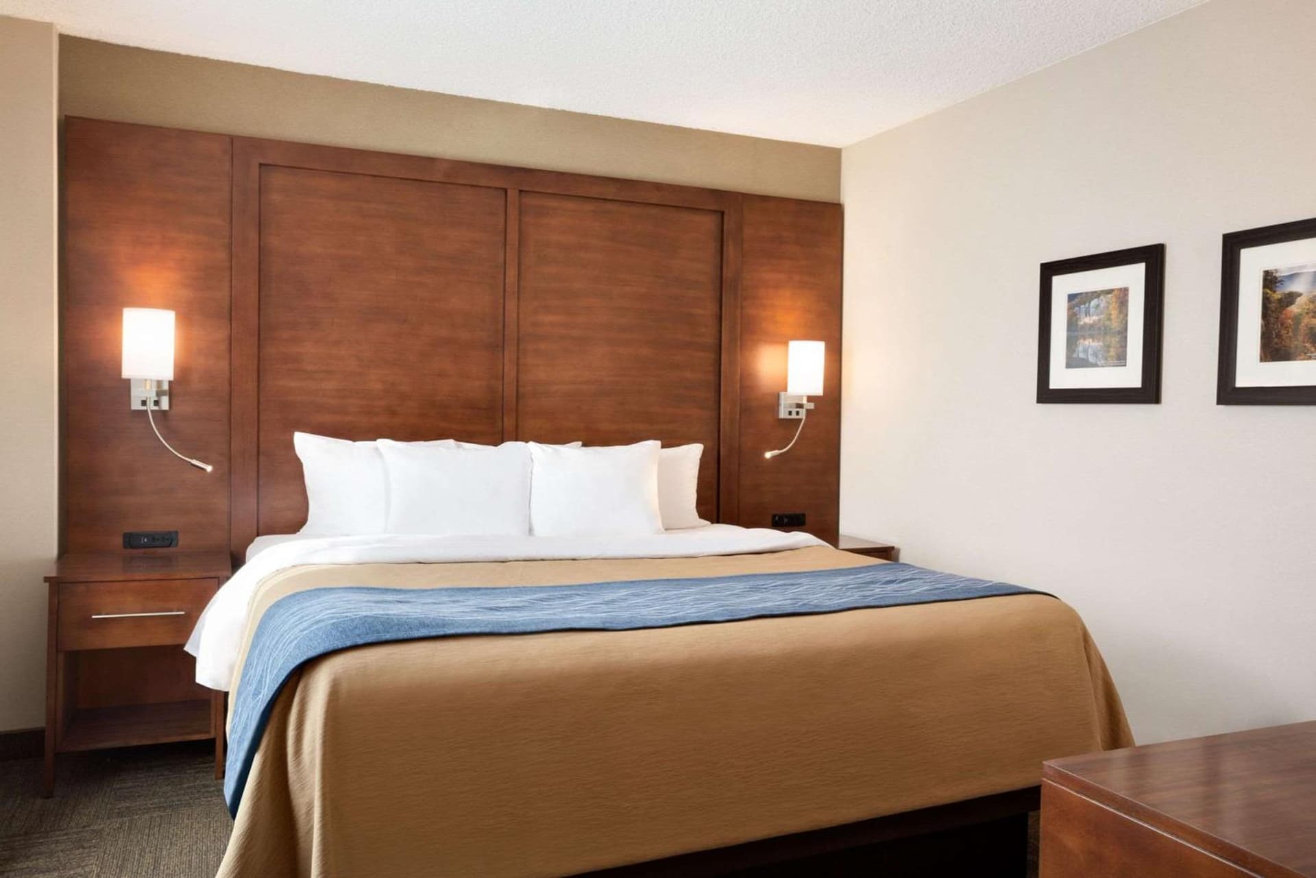 Comfort Inn & Suites Presidential property views in Little Rock, AR — gallery photo 3