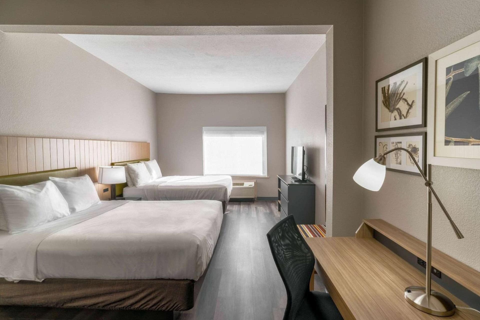 Townhome Inn & Suites by IHG gallery photo in Memphis, TN — image 37