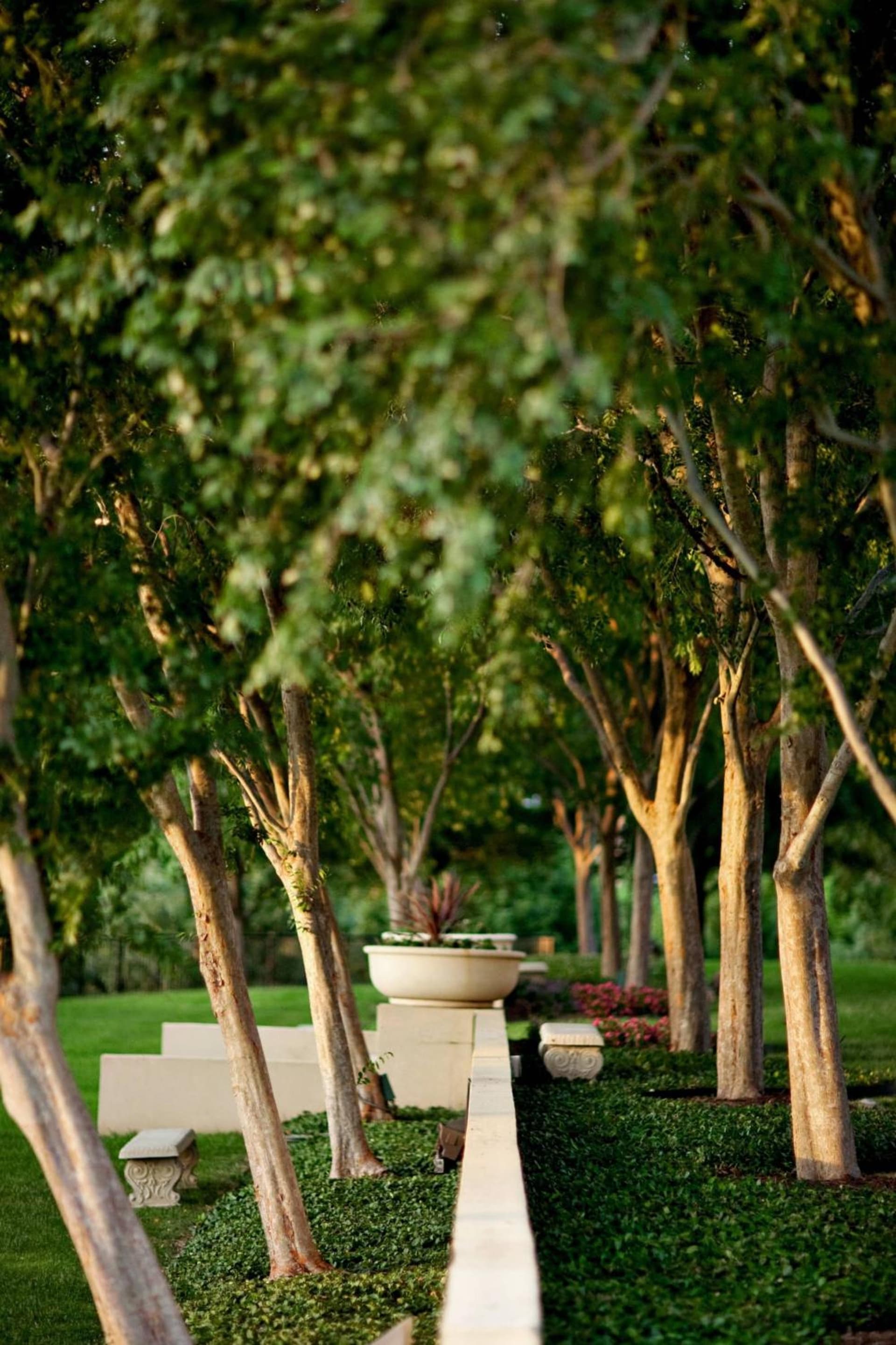 The Westin Dallas Stonebriar Golf Resort & Spa gallery photo in Frisco, TX — image 39
