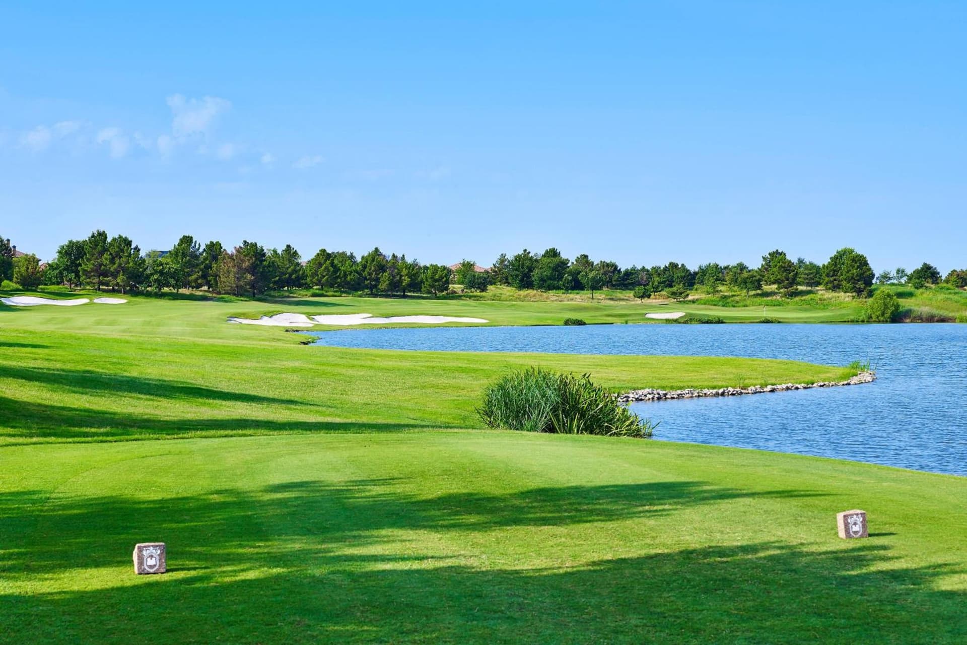 The Westin Dallas Stonebriar Golf Resort & Spa gallery photo in Frisco, TX — image 76