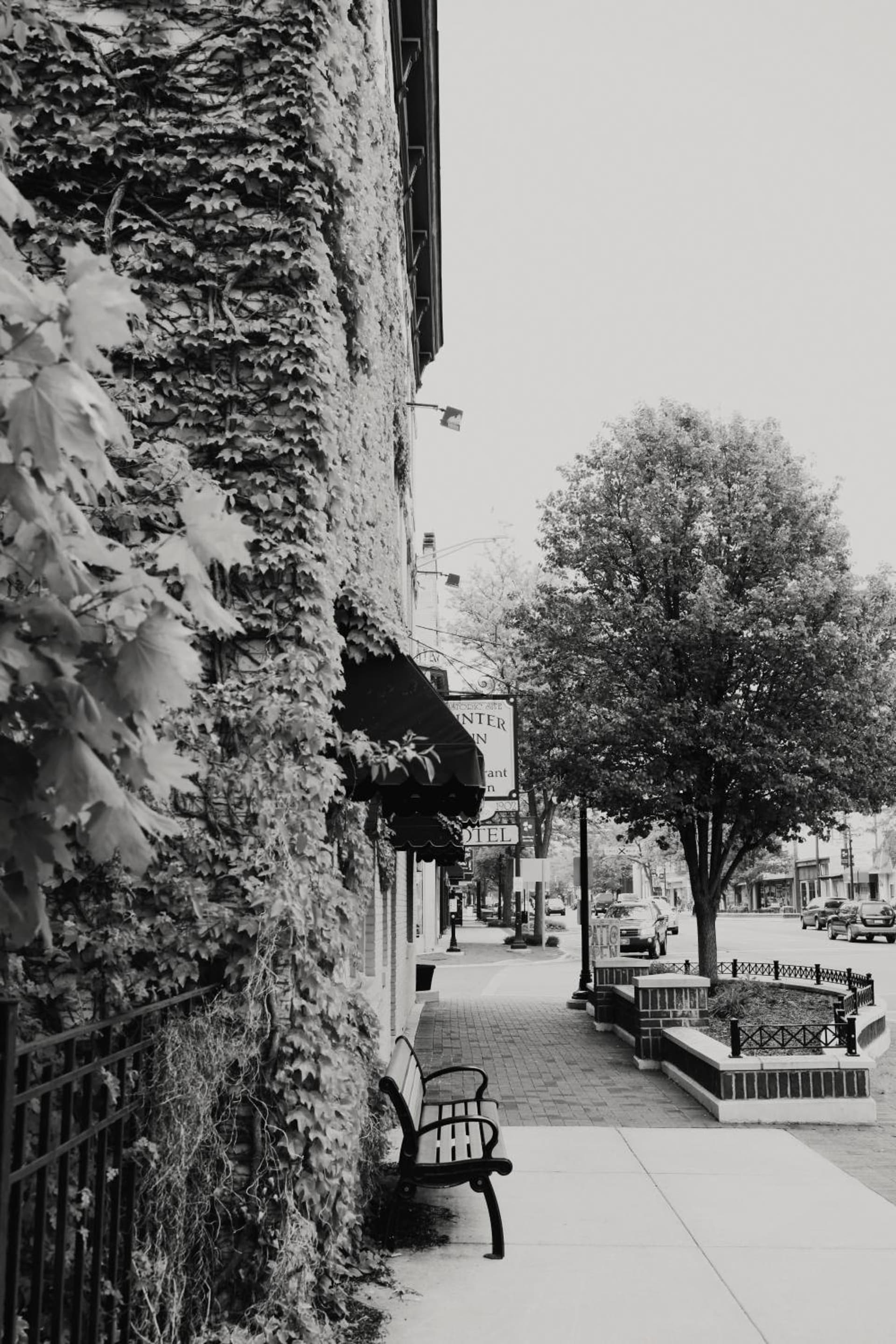 The Winter Inn interior in Greenville, MI — gallery photo 2