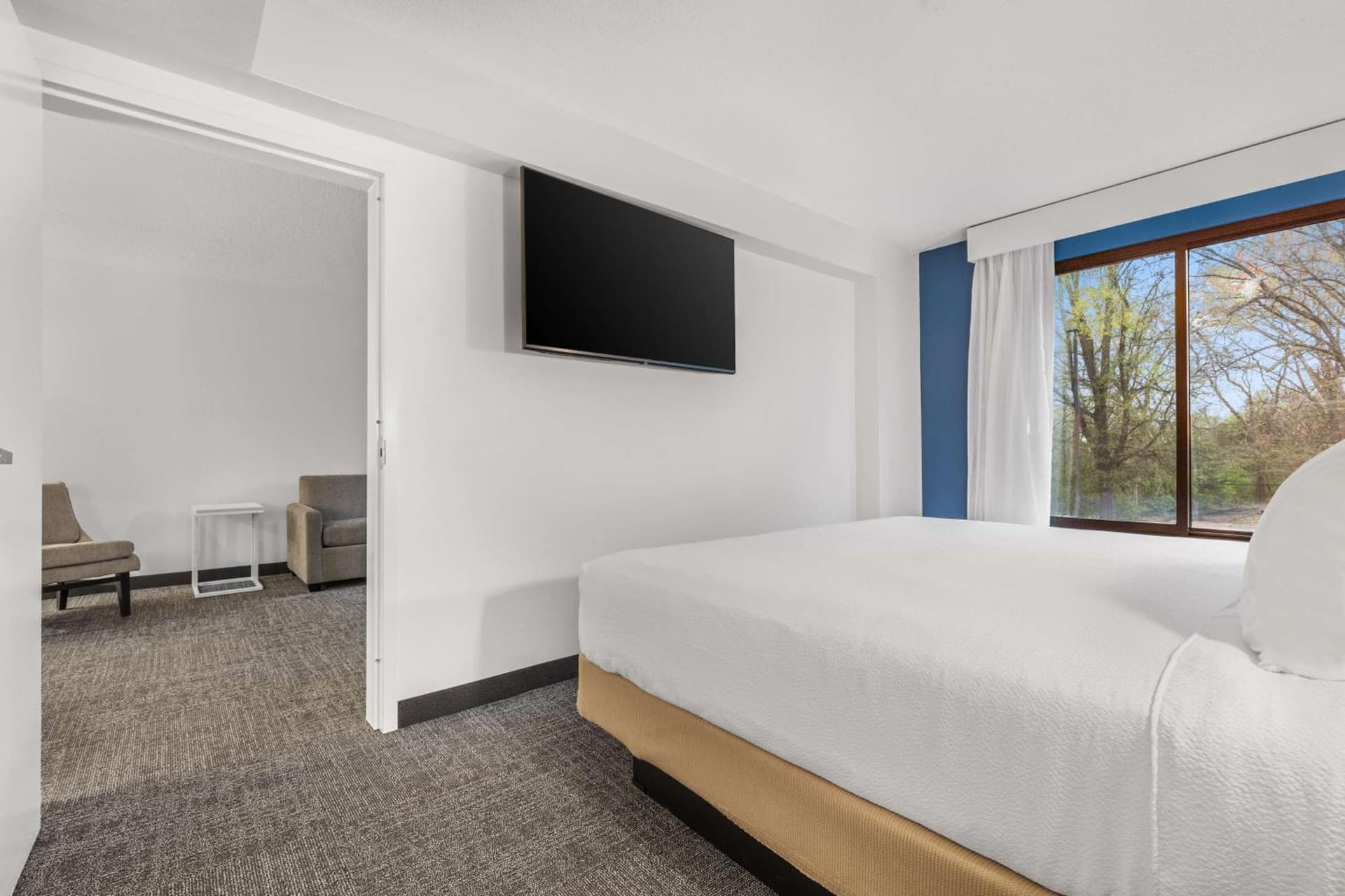 Spark By Hilton Charlotte Tyvola I-77 gallery photo in Charlotte, NC — image 15
