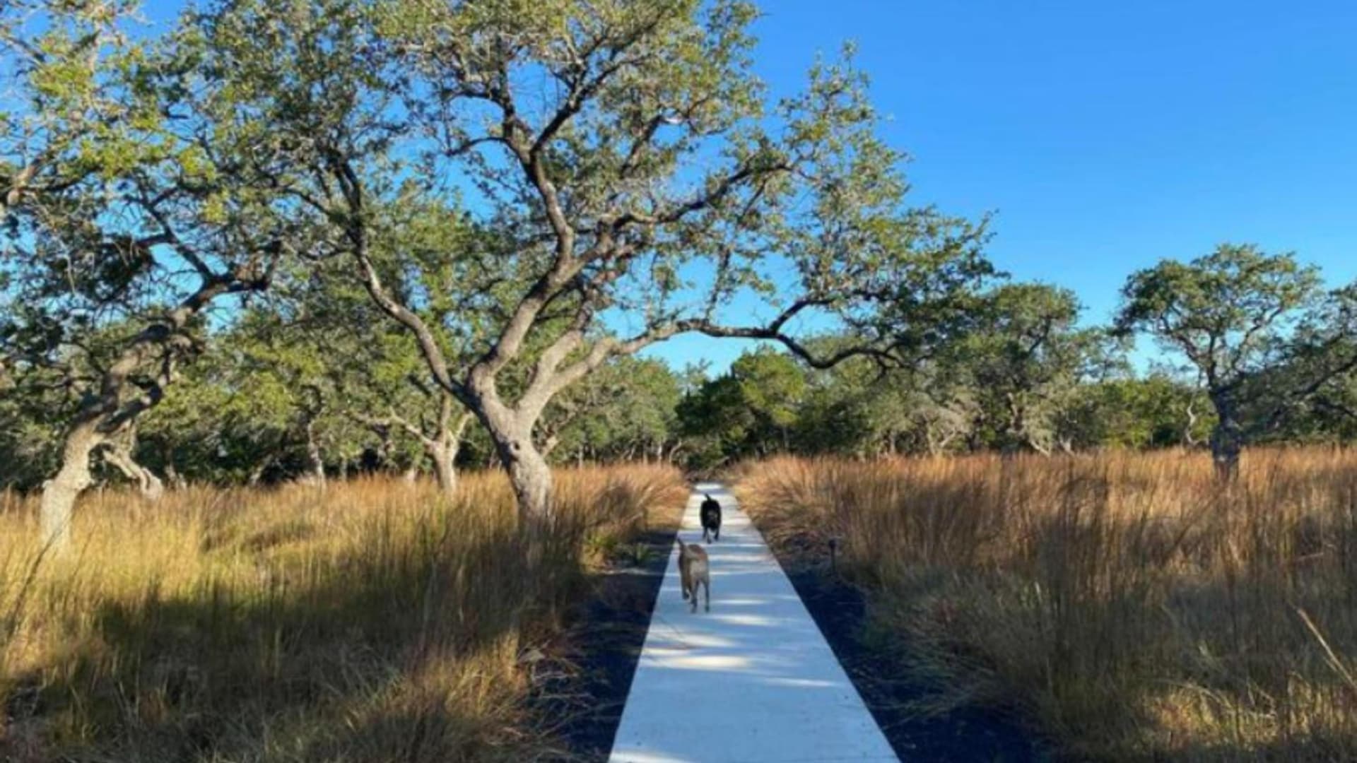 The Cedars Ranch gallery photo in Wimberley, TX — image 47