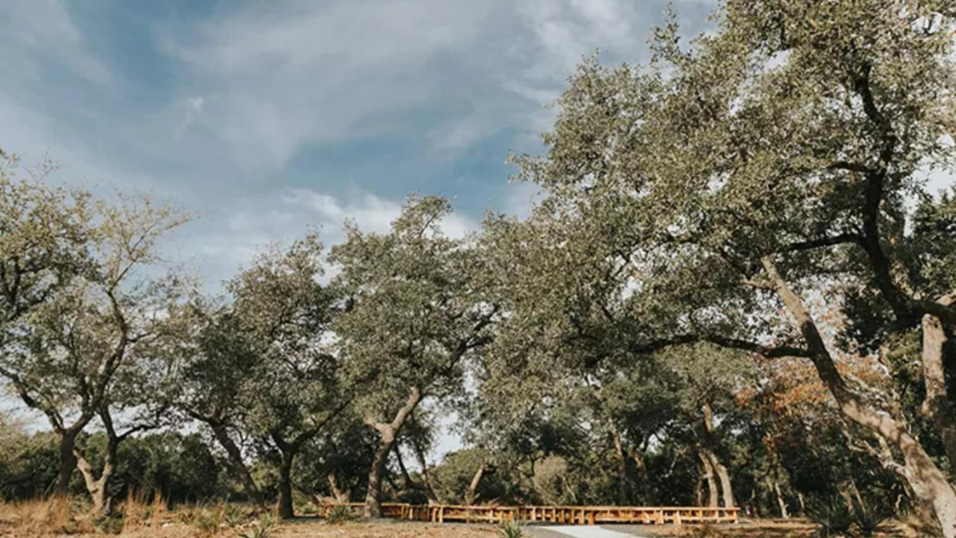 The Cedars Ranch gallery photo in Wimberley, TX — image 91