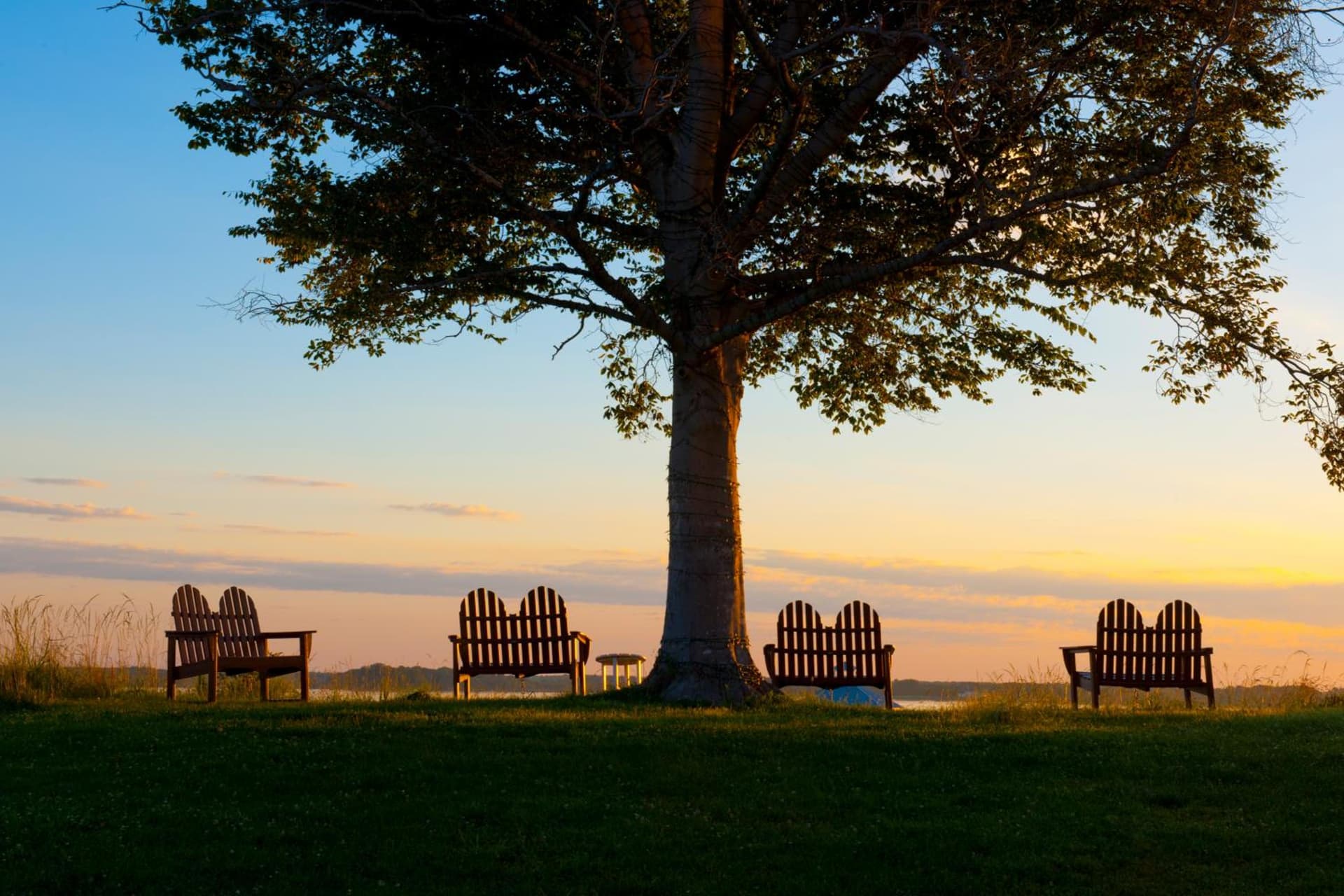 Hyatt Regency Chesapeake Bay Golf Resort, Spa & Marina gallery photo in Cambridge, MD — image 26