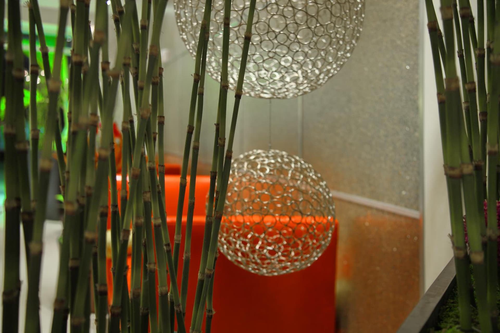 DoubleTree by Hilton Sarasota Bradenton Airport gallery photo in Sarasota, FL — image 31