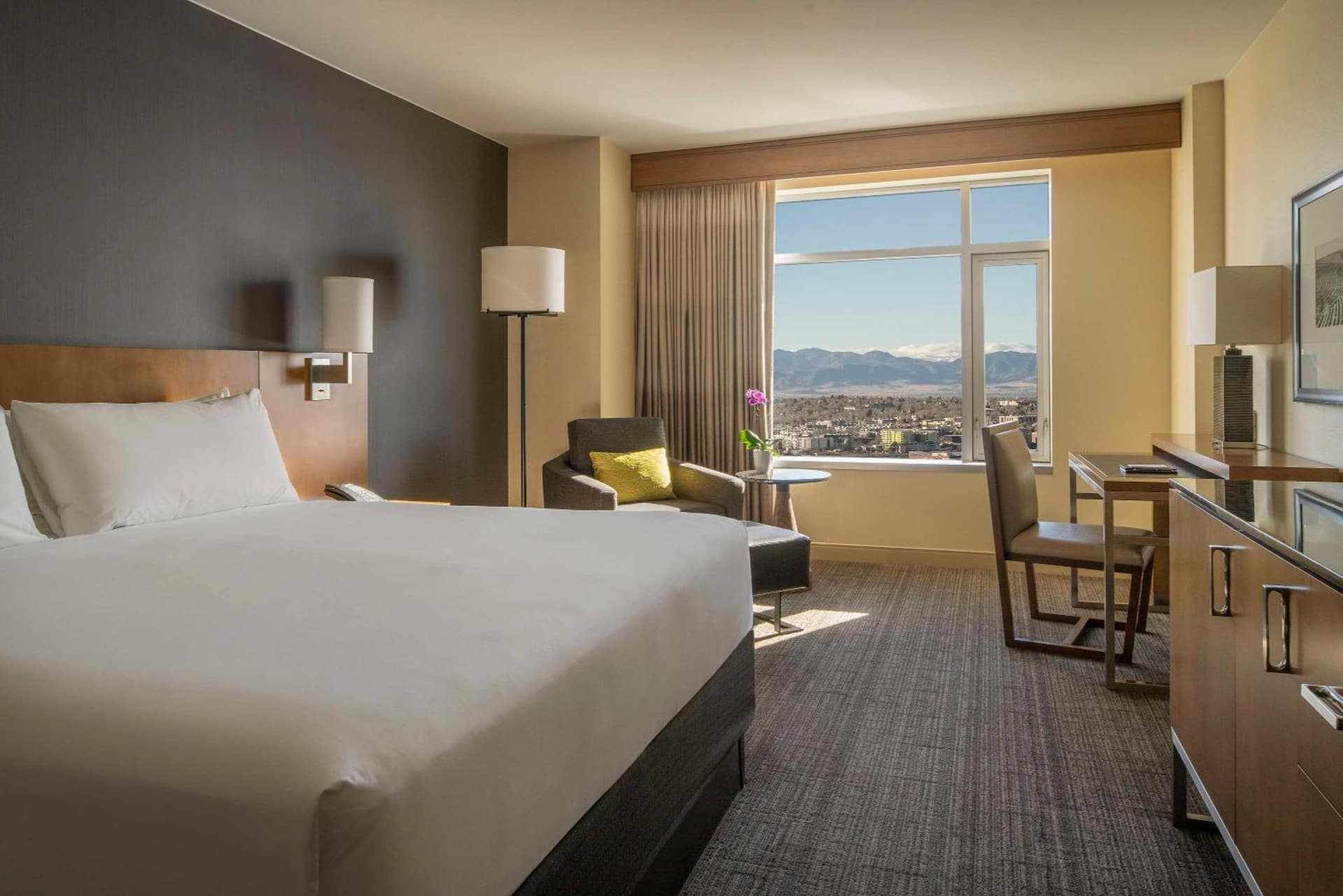 Hyatt Regency Denver at Colorado Convention Center gallery photo in Denver, CO — image 69