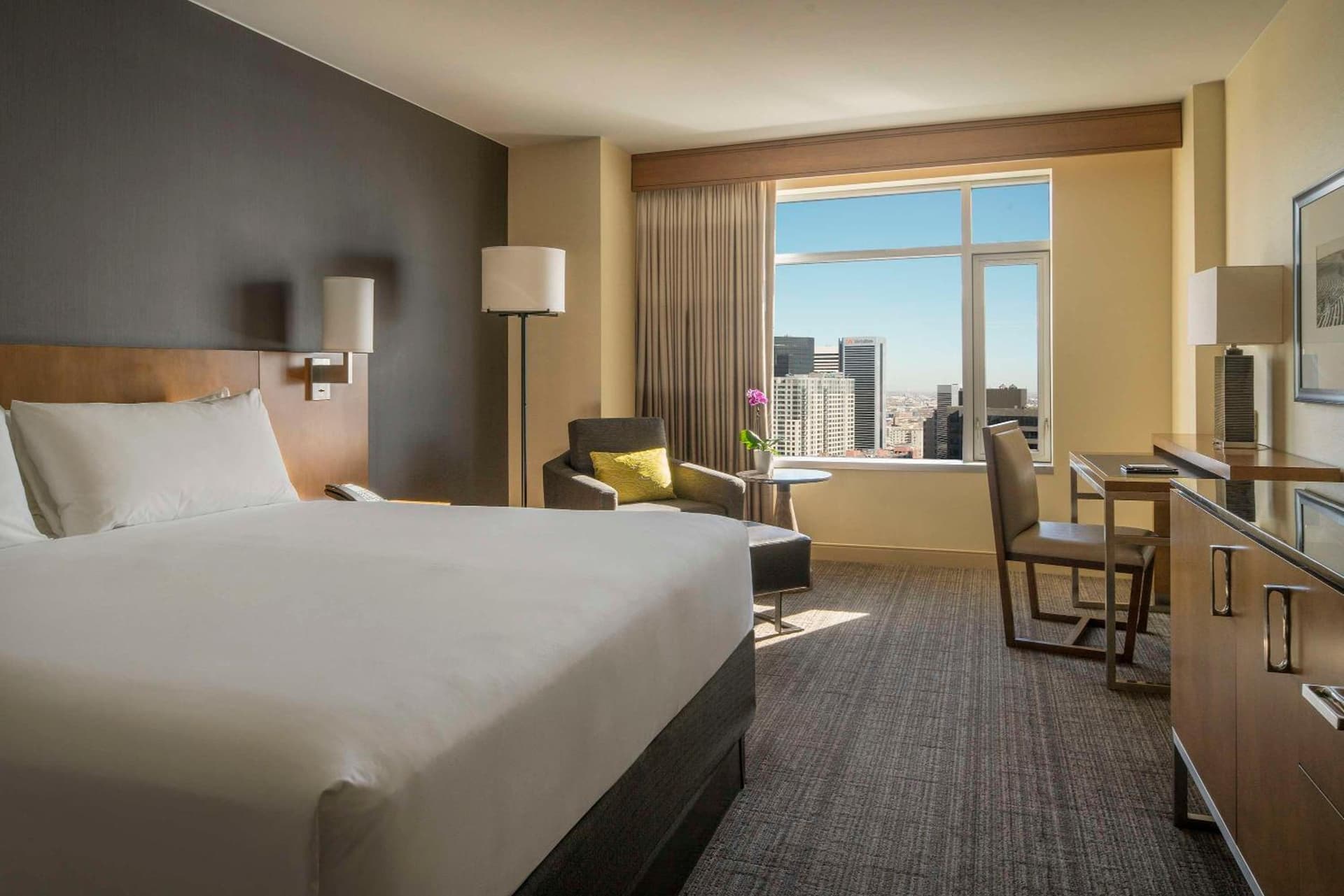 Hyatt Regency Denver at Colorado Convention Center gallery photo in Denver, CO — image 35