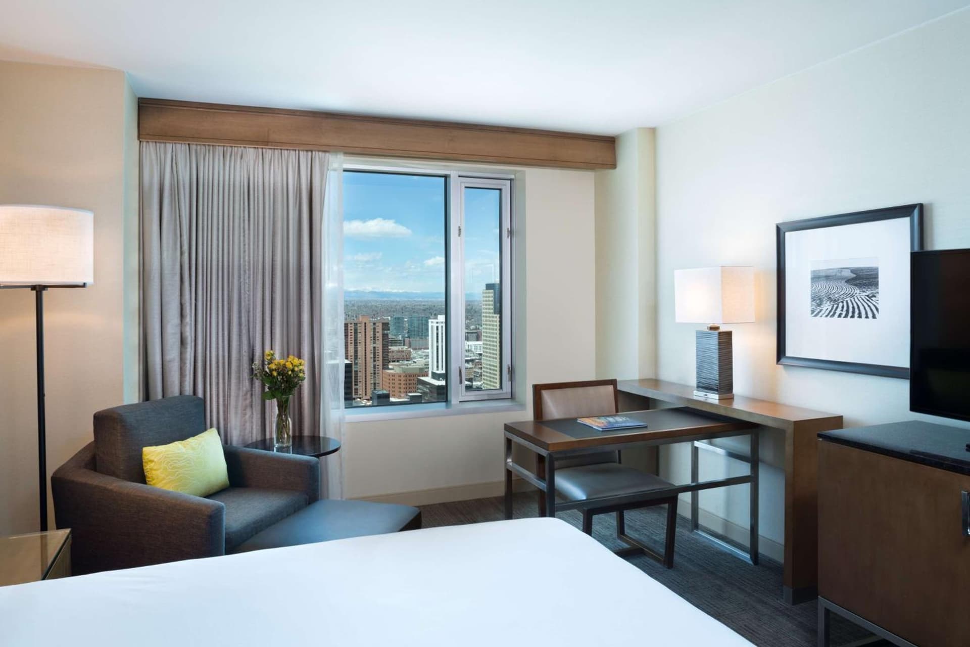 Hyatt Regency Denver at Colorado Convention Center gallery photo in Denver, CO — image 24