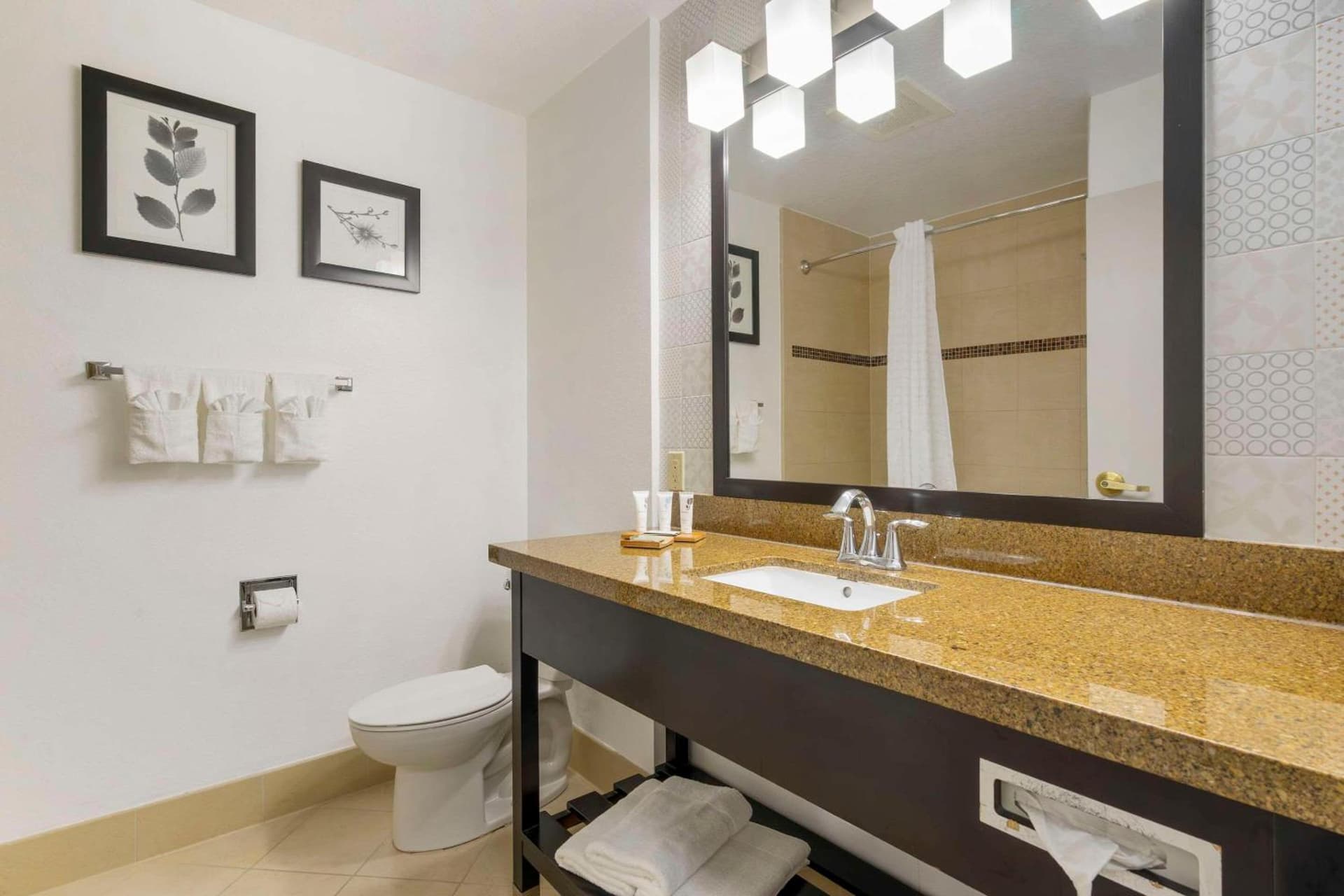 Country Inn & Suites by Radisson, Tampa Airport North, FL gallery photo in Tampa, FL — image 15