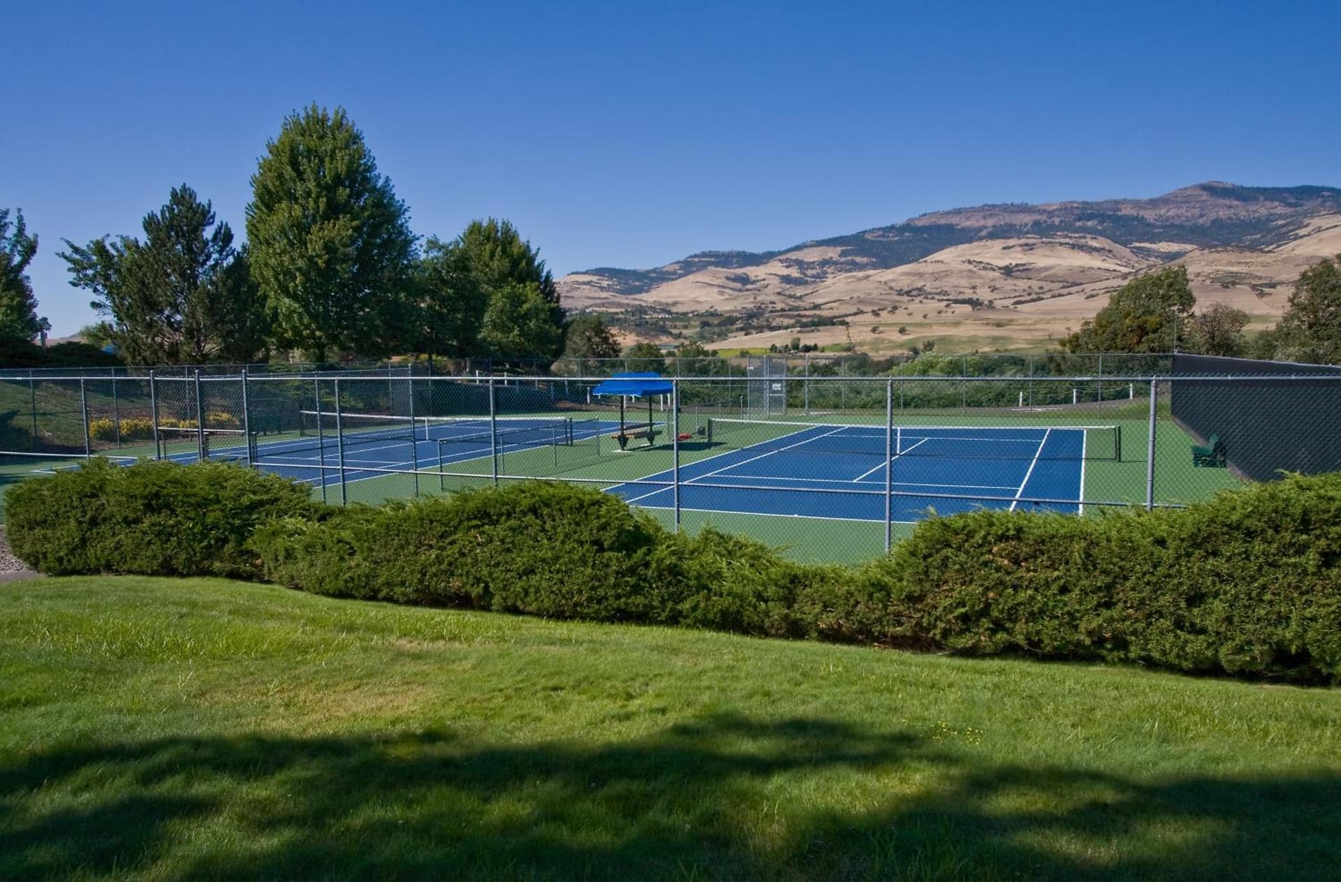 Ashland Hills Hotel & Suites gallery photo in Ashland, OR — image 38
