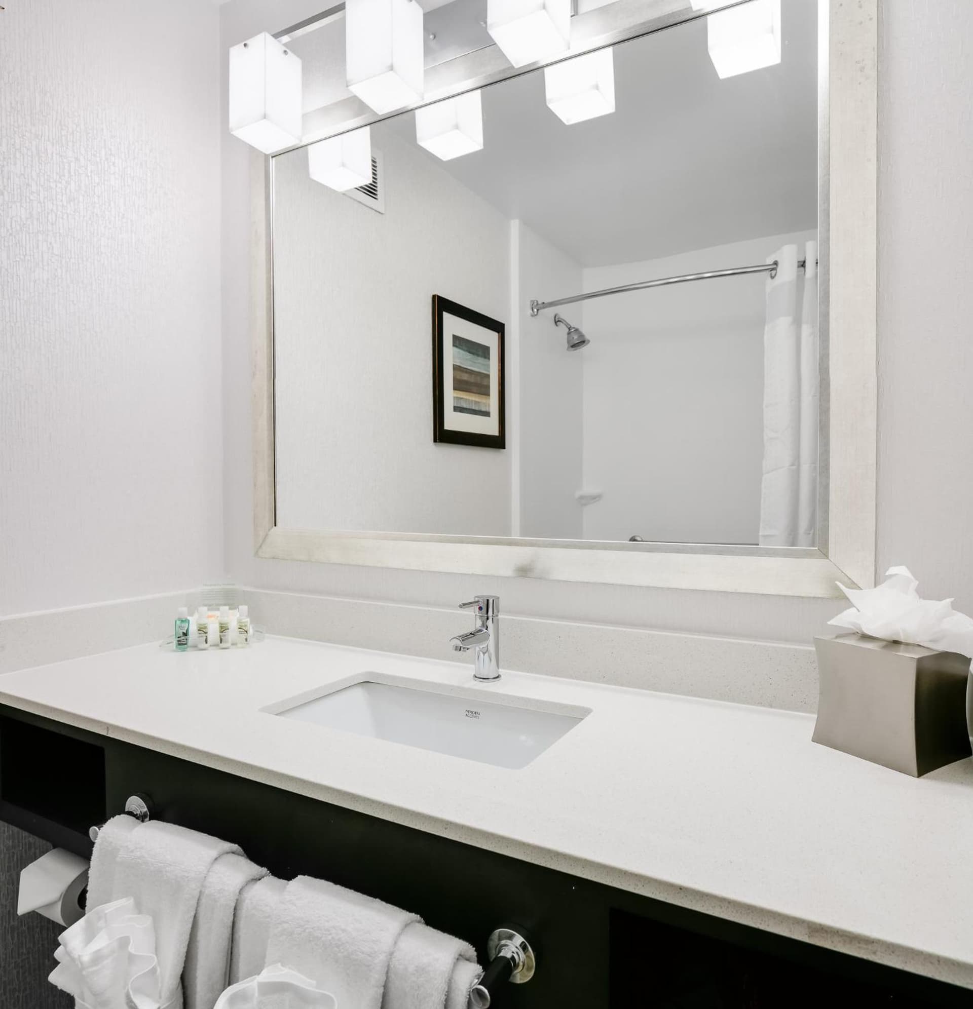 Holiday Inn Hotel & Suites Overland Park-West by IHG gallery photo in Overland Park, KS — image 15