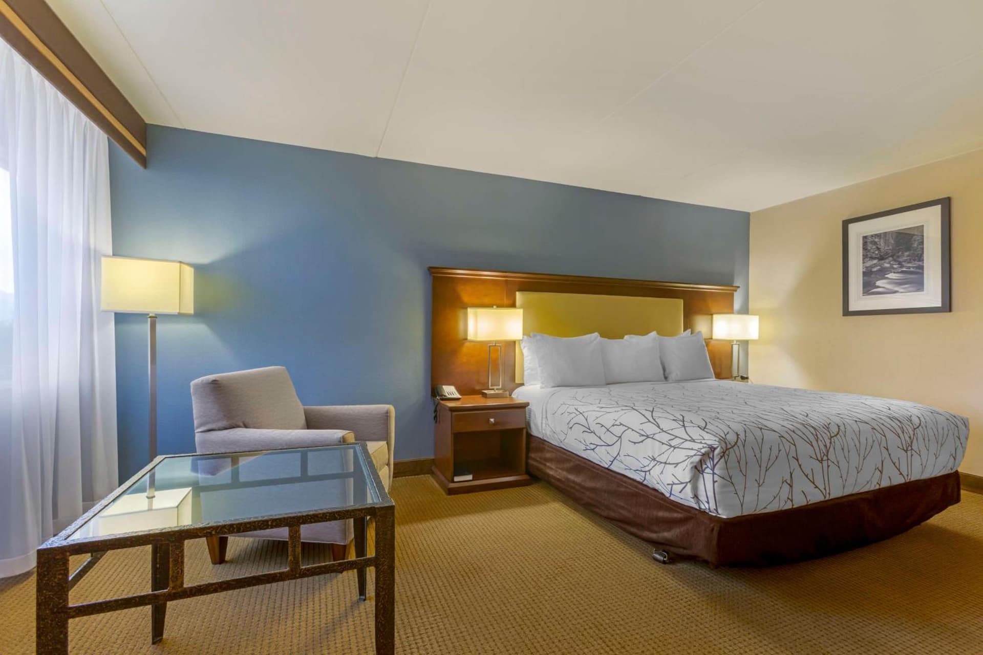 Best Western Plus Coeur d'Alene Inn gallery photo in Coeur d'Alene, ID — image 20