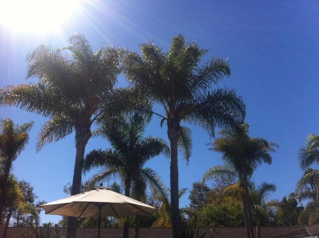Marina Beach Hotel gallery photo in Santa Barbara, CA — image 12