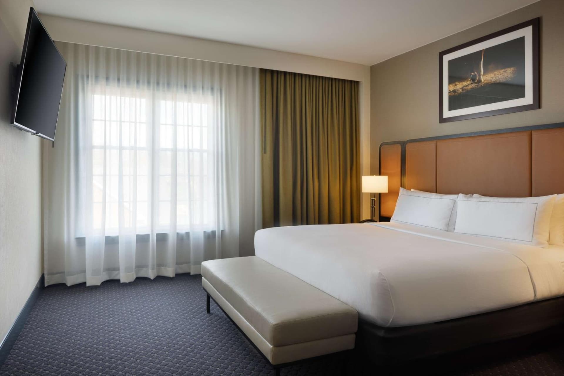 DoubleTree Suites by Hilton Lexington gallery photo in Lexington, KY — image 26