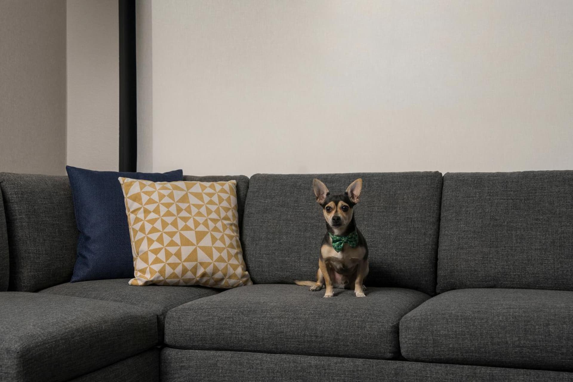 Hyatt Place Denver Cherry Creek gallery photo in Denver, CO — image 8