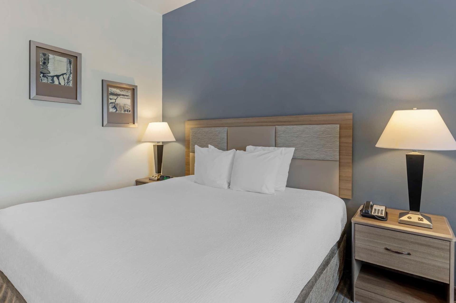 Best Western Plus Peppertree Nampa Civic Center Inn gallery photo in Nampa, ID — image 22