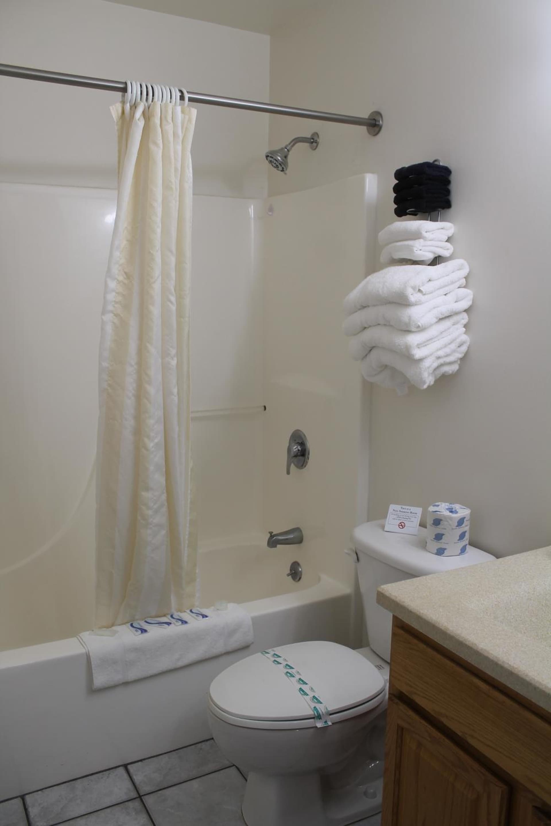 American Host Inn gallery photo in Hart, MI — image 36