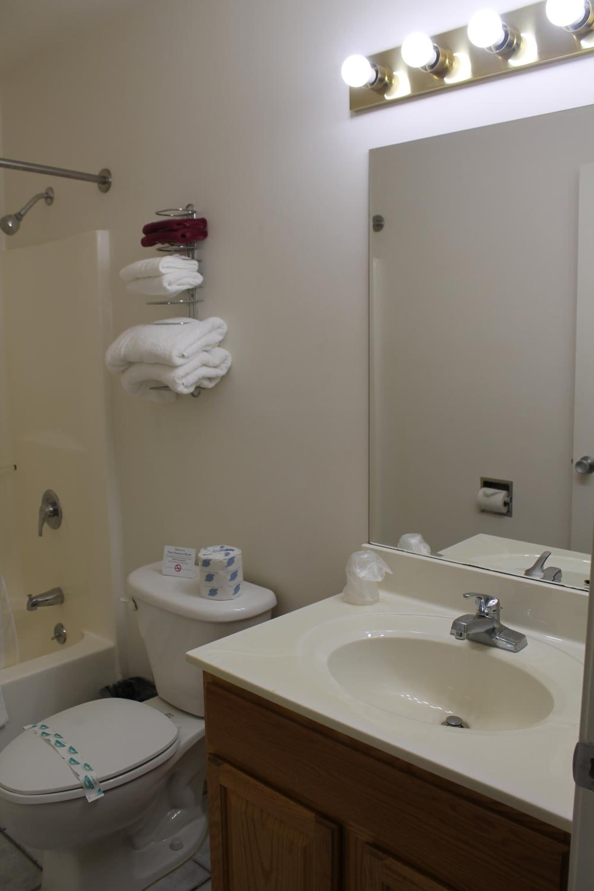 American Host Inn gallery photo in Hart, MI — image 18