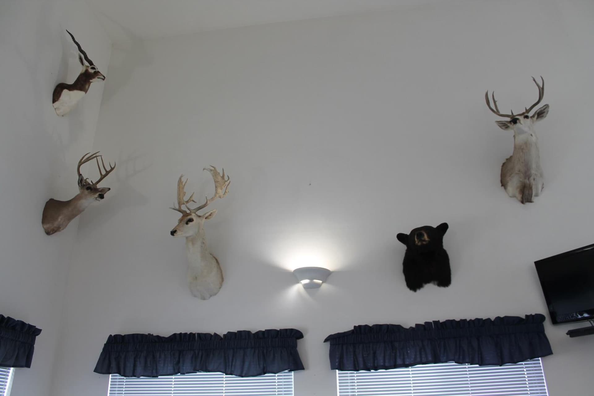 American Host Inn interior in Hart, MI — gallery photo 2