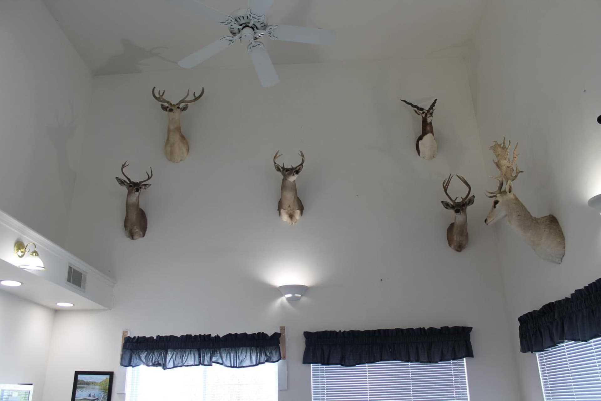 American Host Inn gallery photo in Hart, MI — image 22