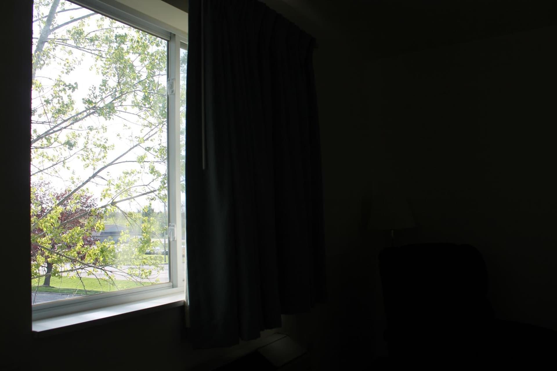 American Host Inn gallery photo in Hart, MI — image 8