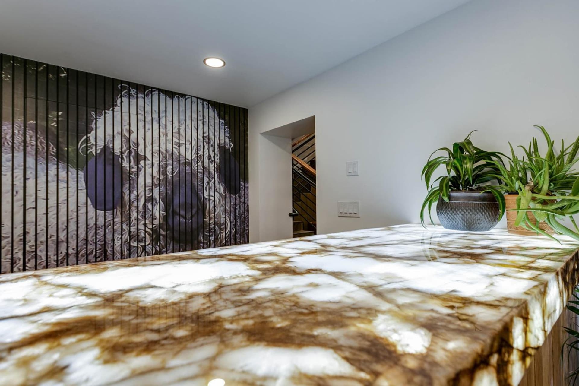 Angoria Hotel gallery photo in San Angelo, TX — image 15