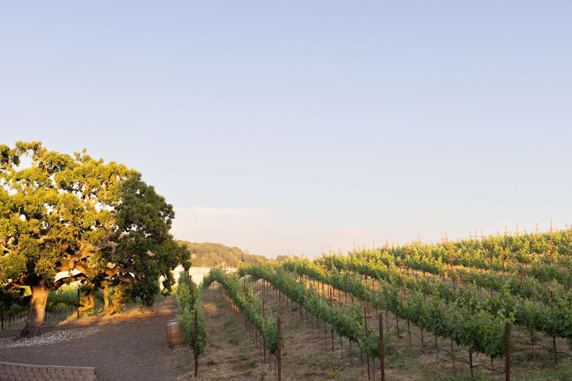 The Meritage Resort and Spa gallery photo in Napa, CA — image 97