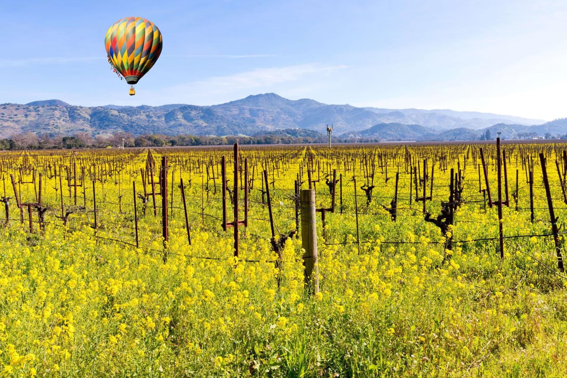 The Meritage Resort and Spa gallery photo in Napa, CA — image 6