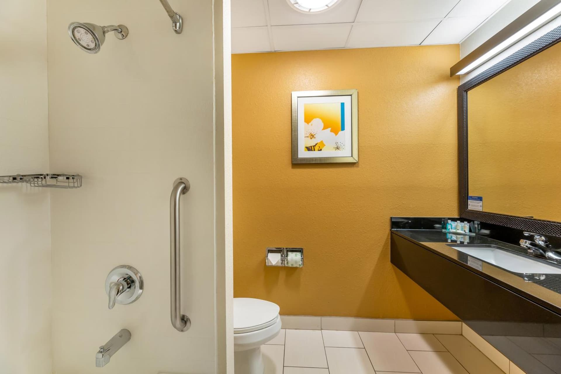 Quality Inn & Suites Sandusky gallery photo in Sandusky, OH — image 13