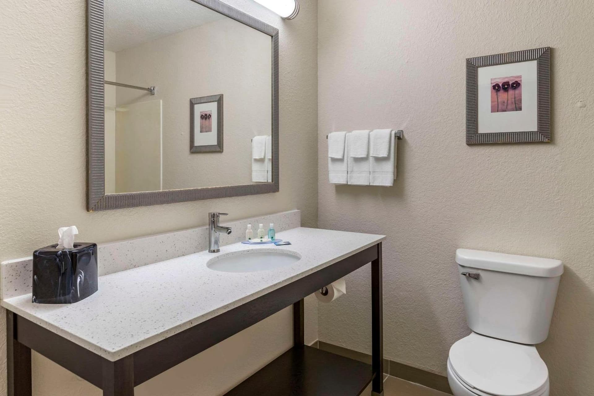 Quality Inn & Suites gallery photo in Bay City, MI — image 50