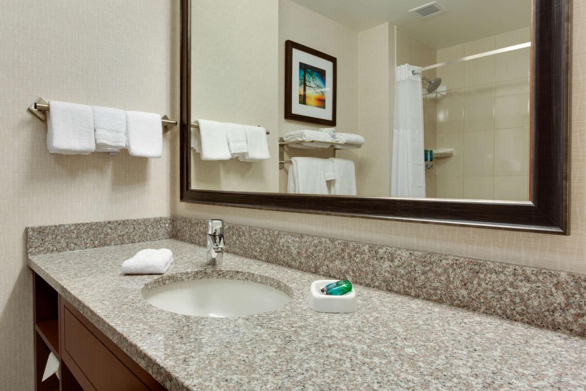 Drury Inn & Suites Charlotte Arrowood interior in Charlotte, NC — gallery photo 2