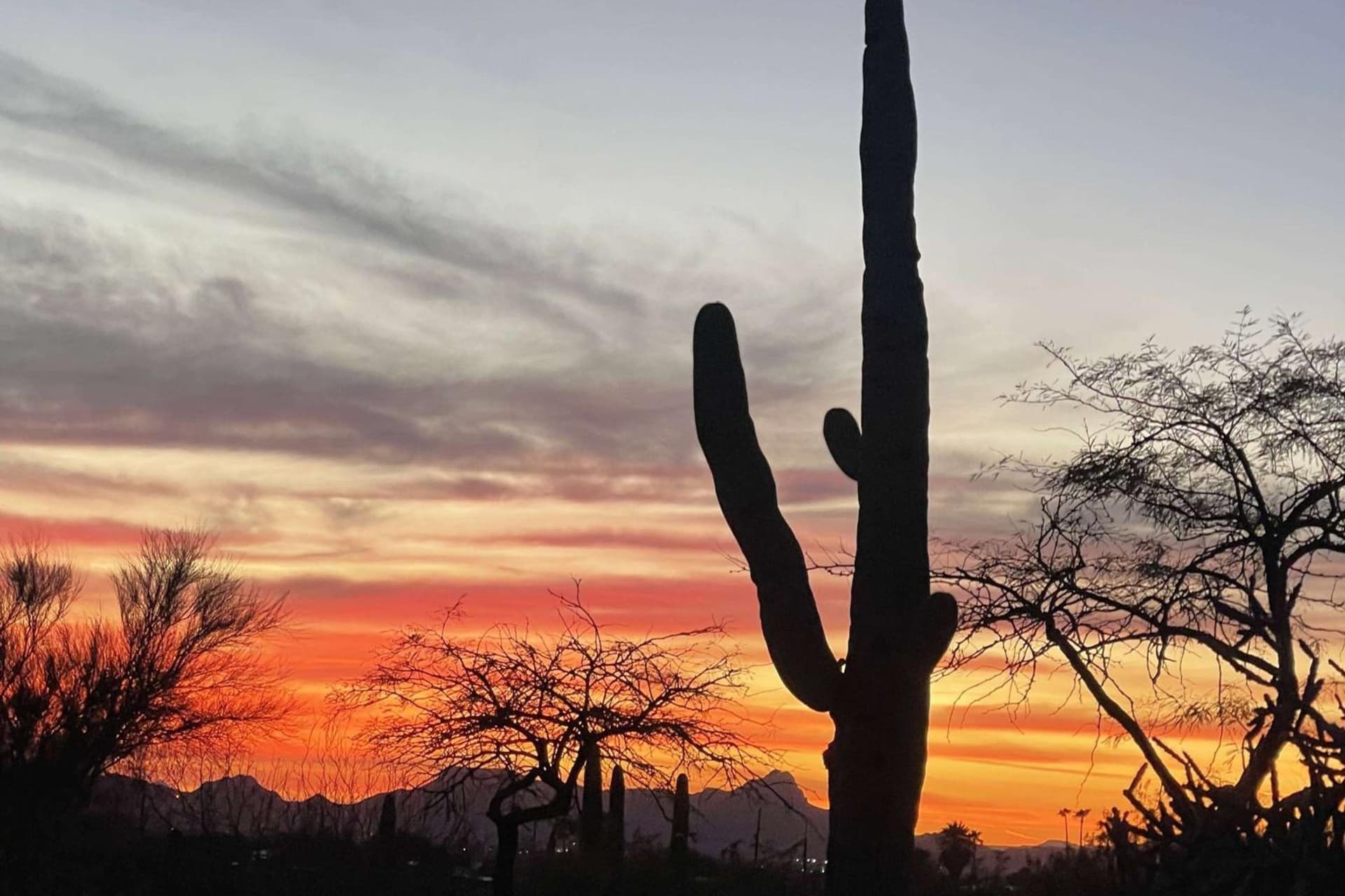 Westward Look Wyndham Grand Resort & Spa gallery photo in Tucson, AZ — image 70