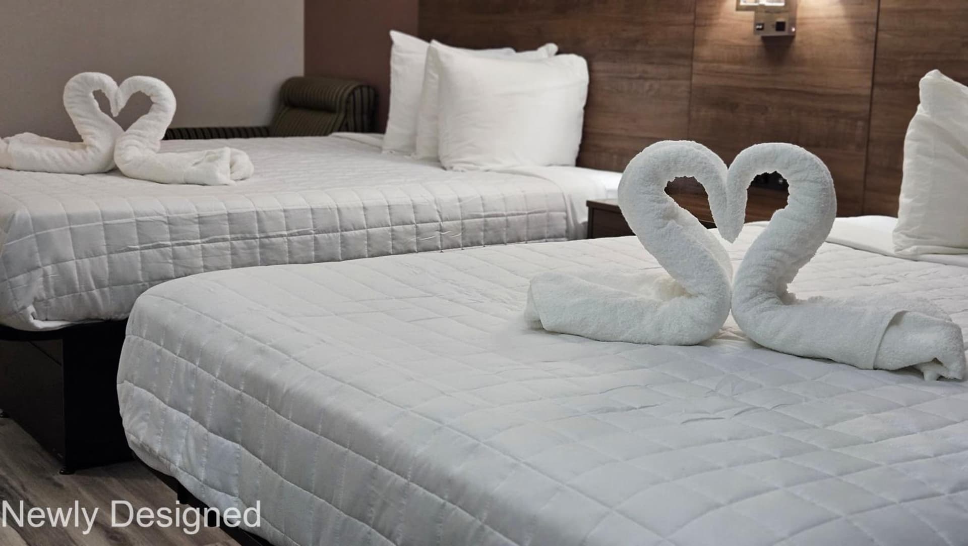 Best Western Hopkinsville KY - BRAND NEW ROOMS gallery photo in Hopkinsville, KY — image 65