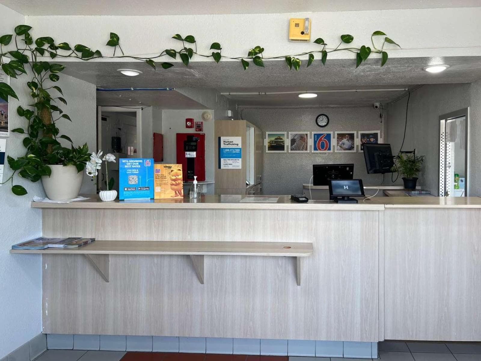 Motel 6-Odessa, TX gallery photo in Odessa, TX — image 18